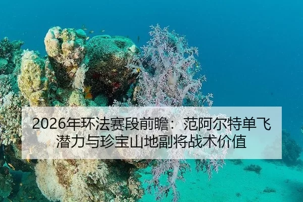 nian-huan-fa-sai-duan-qian-zhan-fan-a-er-te-dan-fei-qian-li-yu-zhen-bao-shan-di-fu-jiang-zhan-shu-jia-zhi-2-802.jpg